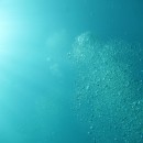 初ファンダイブ！伊東・新井の浜