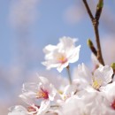 転職活動するにあたって使ったサービスまとめ