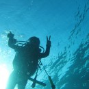 セブ島3泊4日、ミニサファリへ行ってきました 前編