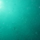 シパダン旅行記 vol.12 ラストもやっぱりドリフトダイビング