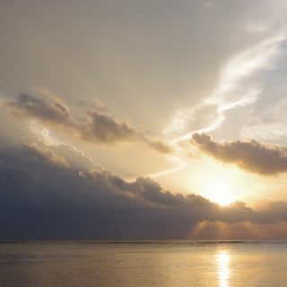 Morning sun
