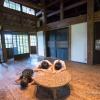 大地の芸術祭2018 #6 脱皮する家に宿泊